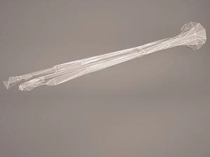 trumpet 3D Model
