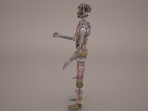 pomax star wars 3D Model