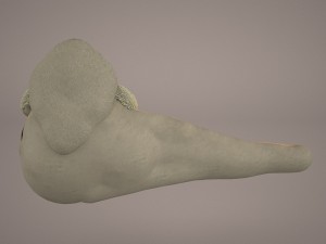 jabba the hutt star wars Model 3D
