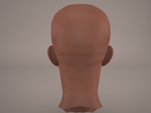 macewindu head star wars Modelo 3D