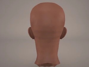 macewindu head star wars 3D Model