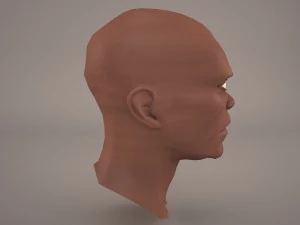 macewindu head star wars 3D Model