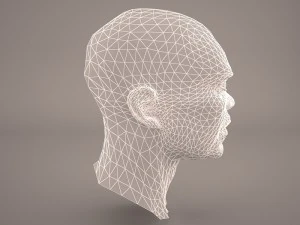 macewindu head star wars 3D Model