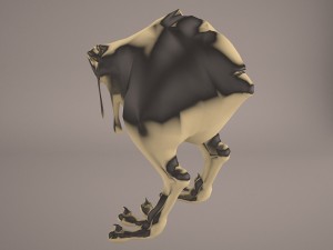 nuna star wars Modèle 3D