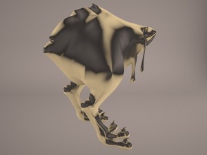 nuna star wars Modèle 3D