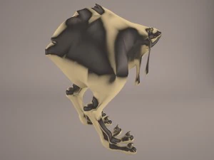 nuna star wars 3D Model