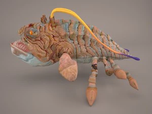 opee sea killer star wars 3D Model