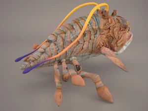 opee sea killer star wars 3D Model