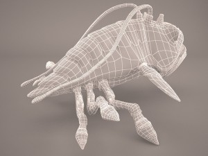 opee sea killer star wars 3D 模型
