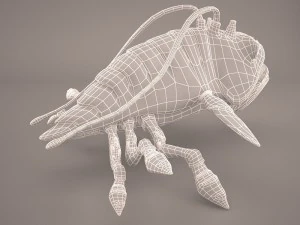 opee sea killer star wars 3D Model