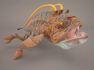 opee sea killer star wars 3D Model