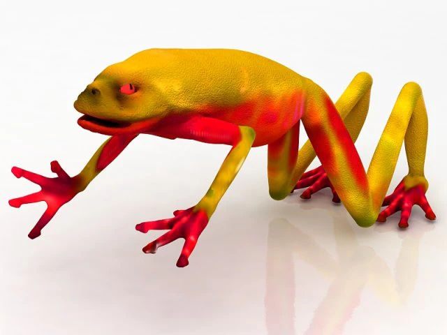 Frog 3D Model .c4d .max .obj .3ds .fbx .stl .blend 