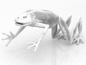 Frog 3D मॉडल
