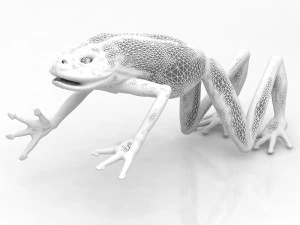 Frog 3D Model