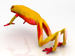 Frog 3D मॉडल