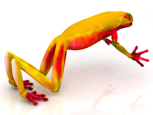 Frog 3D मॉडल
