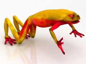 Frog 3D मॉडल