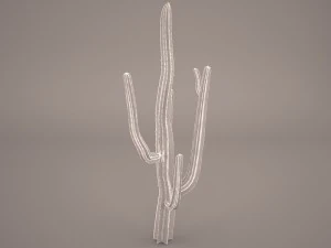 cactus 3D Model
