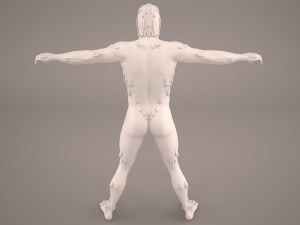 sasquatch 3D 模型