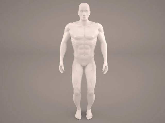 android 3D Model .c4d .max .obj .3ds .fbx .stl .blend