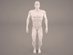 android 3D Model