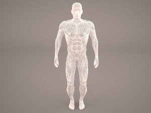 android 3D Model