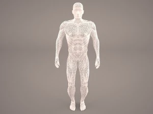 android 3D Model