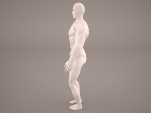 android 3D Model
