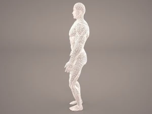 android 3D Model