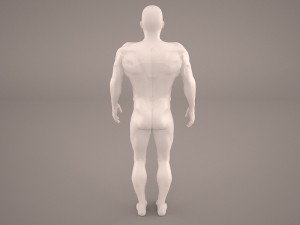 android 3D Model