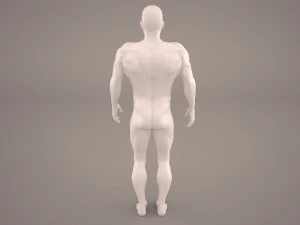 android 3D Model