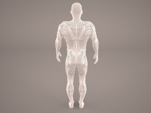 android 3D Model