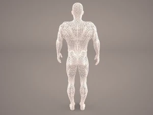 android 3D Model