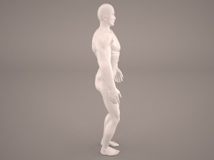 android 3D Model