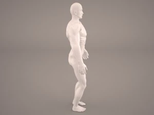android 3D Model