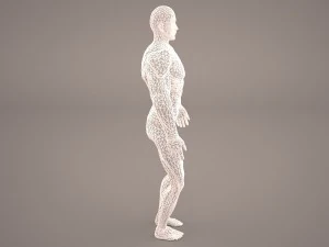 android 3D Model