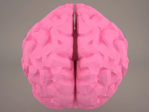 cervello Modello 3D