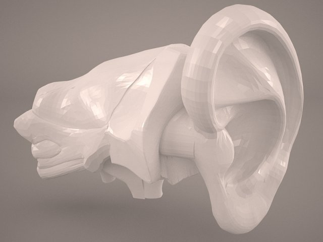 ear anatomy Modelo 3D .c4d .max .obj .3ds .fbx .stl .blend 