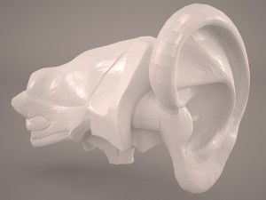 ear anatomy 3D Model