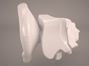 ear anatomy Modelo 3D