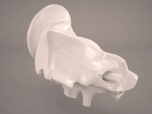 ear anatomy 3D Model