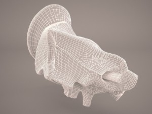 ear anatomy Modelo 3D