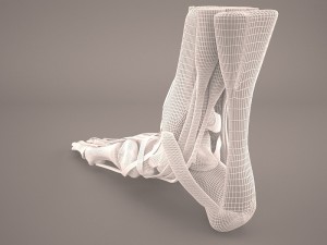 foot skeleton Modelo 3D