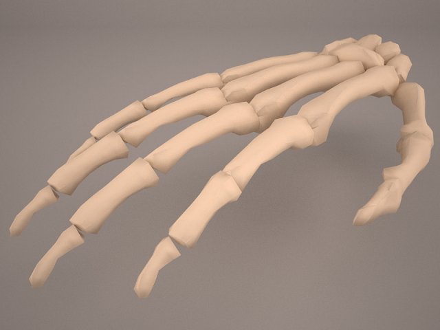 hand skeleton 3Dモデル .c4d .max .obj .3ds .fbx .stl .blend 