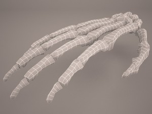 hand skeleton 3Dモデル