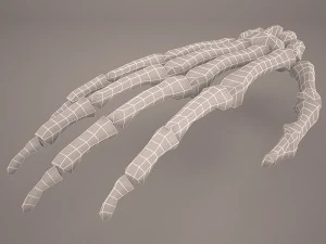 hand skeleton 3D Model
