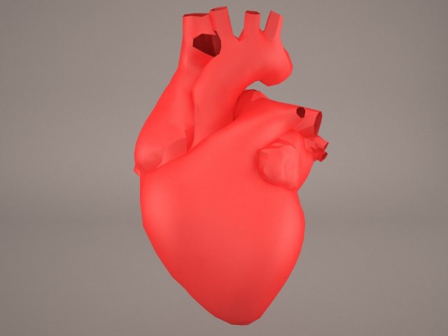 human heart 3Dモデル .c4d .max .obj .3ds .fbx .stl .blend 