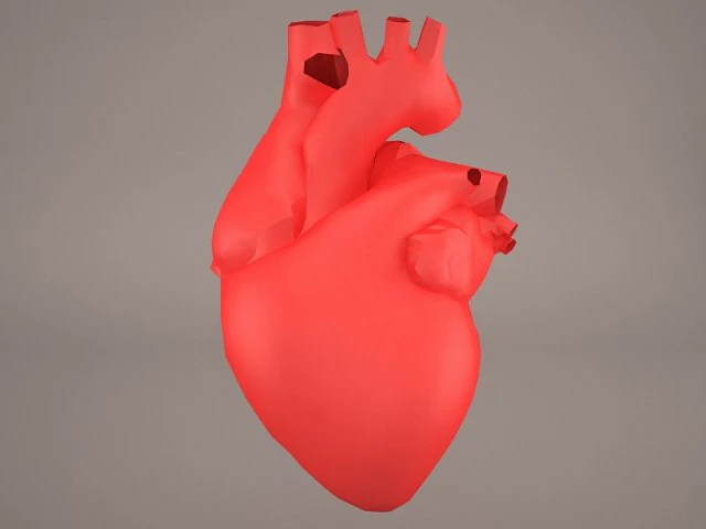 मानव हृद्य 3D मॉडल .c4d .max .obj .3ds .fbx .stl .blend 