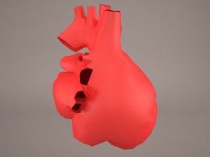 human heart 3Dモデル