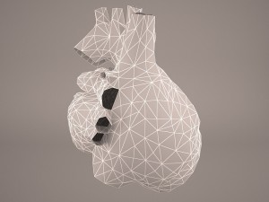 human heart 3Dモデル